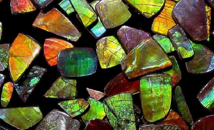 Facts About Ammolite: Meanings, Properties, and Benefits