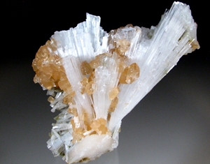 scolecite benefits