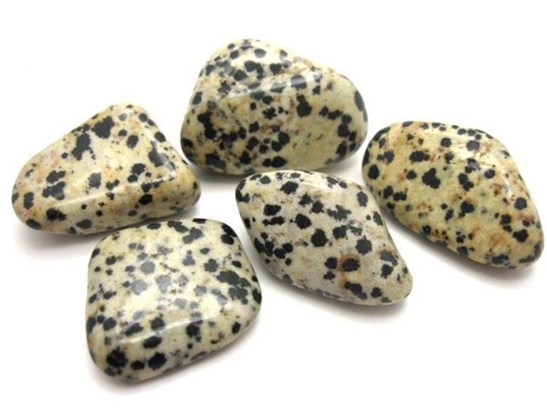 Dalmatian Jasper: Meanings, Properties, and Benefits