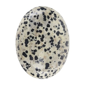 dalmatian jasper rock