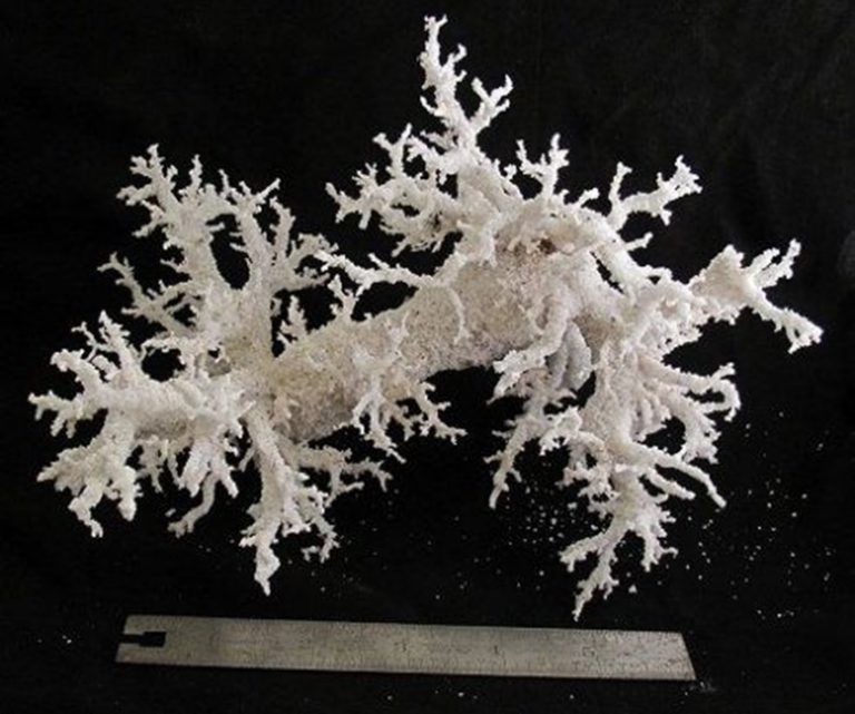 Fulgurite: Meanings, Properties, and Benefits