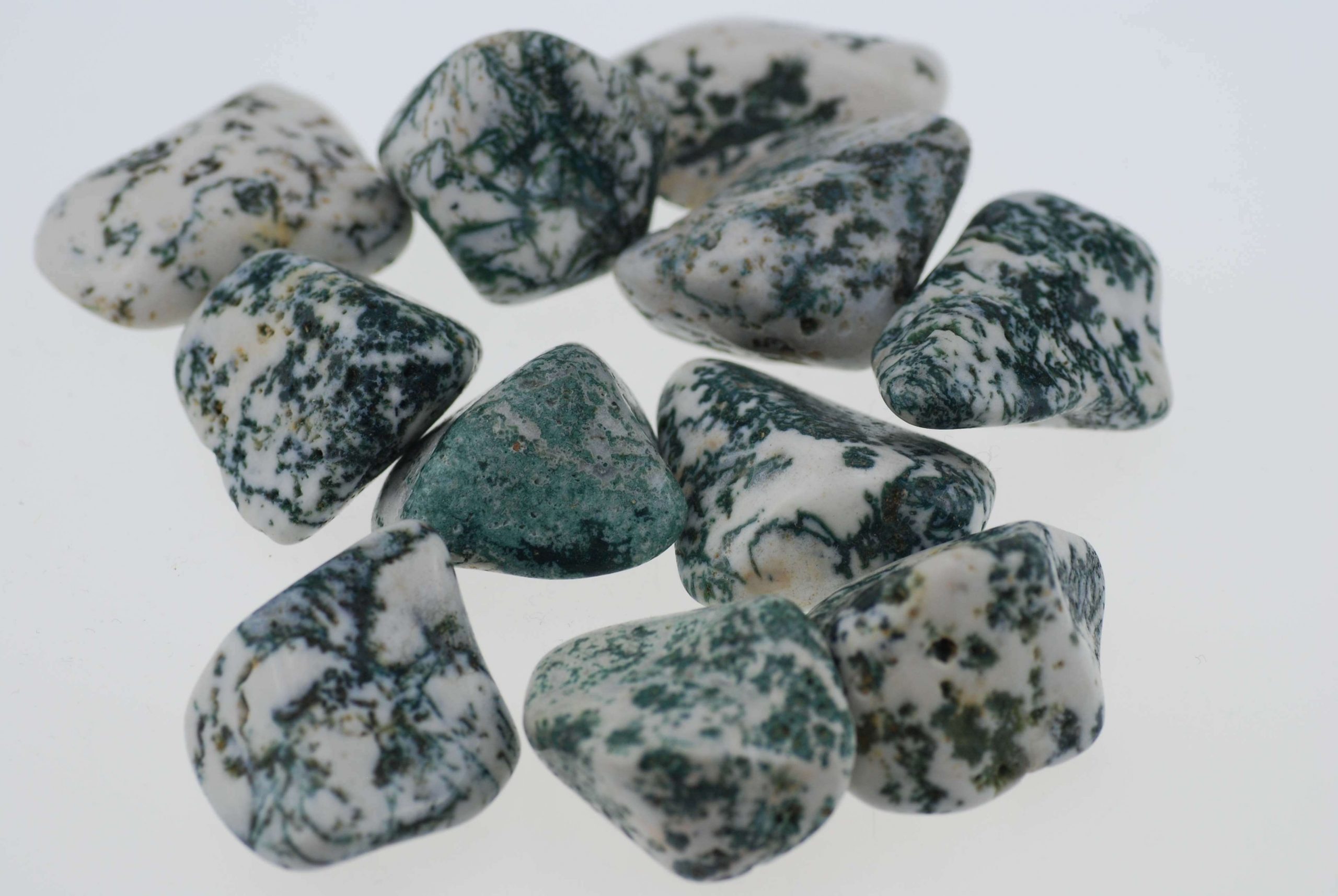 Facts About Tree Agate: Meanings, Properties, and Benefits