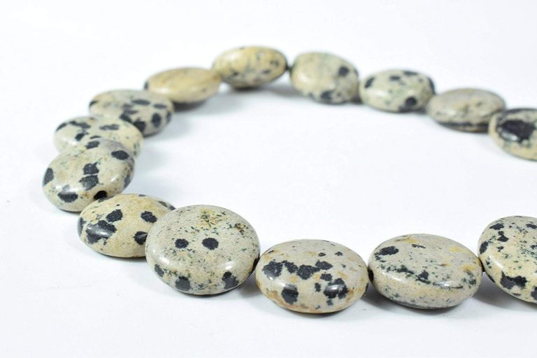 Facts About Dalmatian Jasper