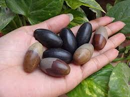 Healing Power of Shiva Lingam