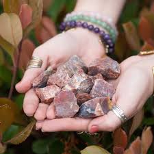 healing power of petrified wood