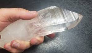 lemurian seed