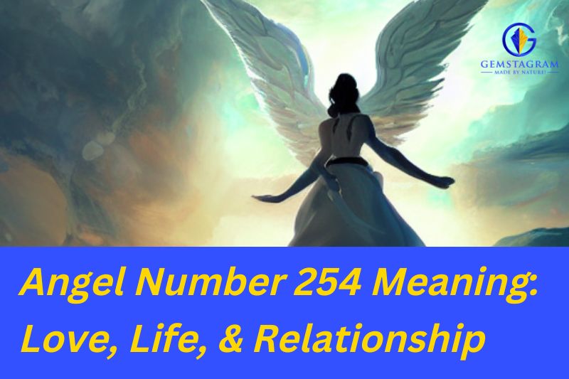 Angel Number 254 Meaning: Love, Life, & Relationship