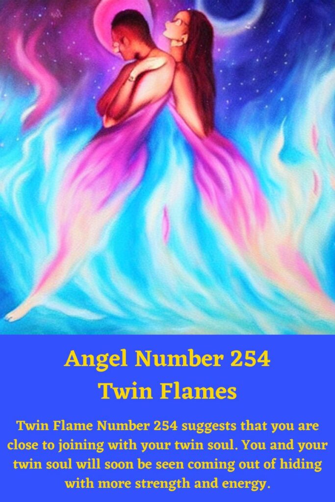 254 twin flames