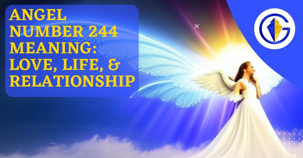 244 angel number meaning love single