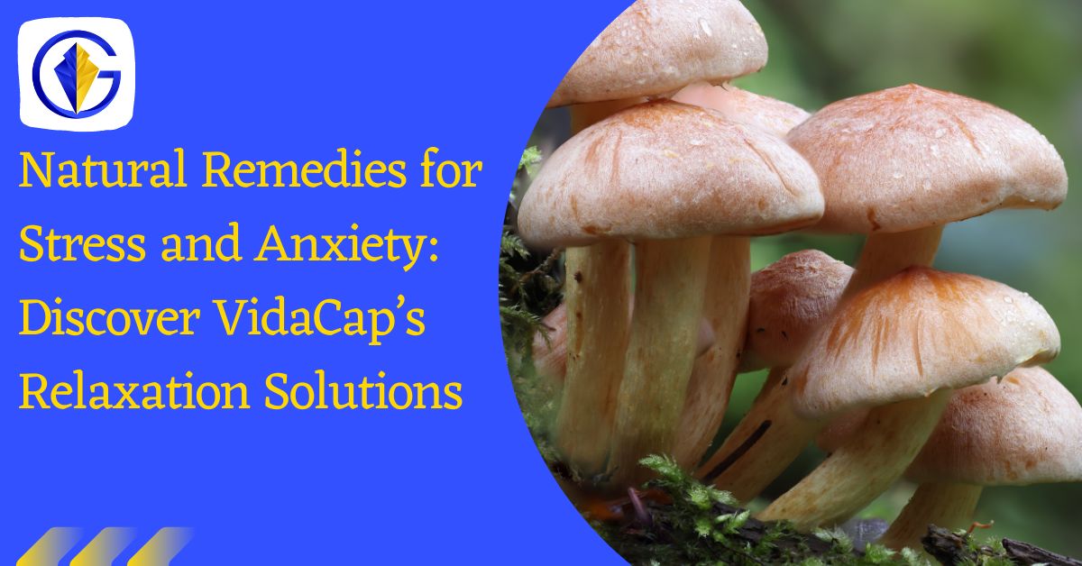 Natural Remedies for Stress and Anxiety: Discover VidaCap’s Relaxation Solutions